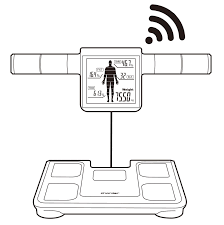 بادی آنالیز پرتابل ترکیب بدن – U310 CHARDER